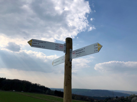 Weitblick ins Tal der Mosel